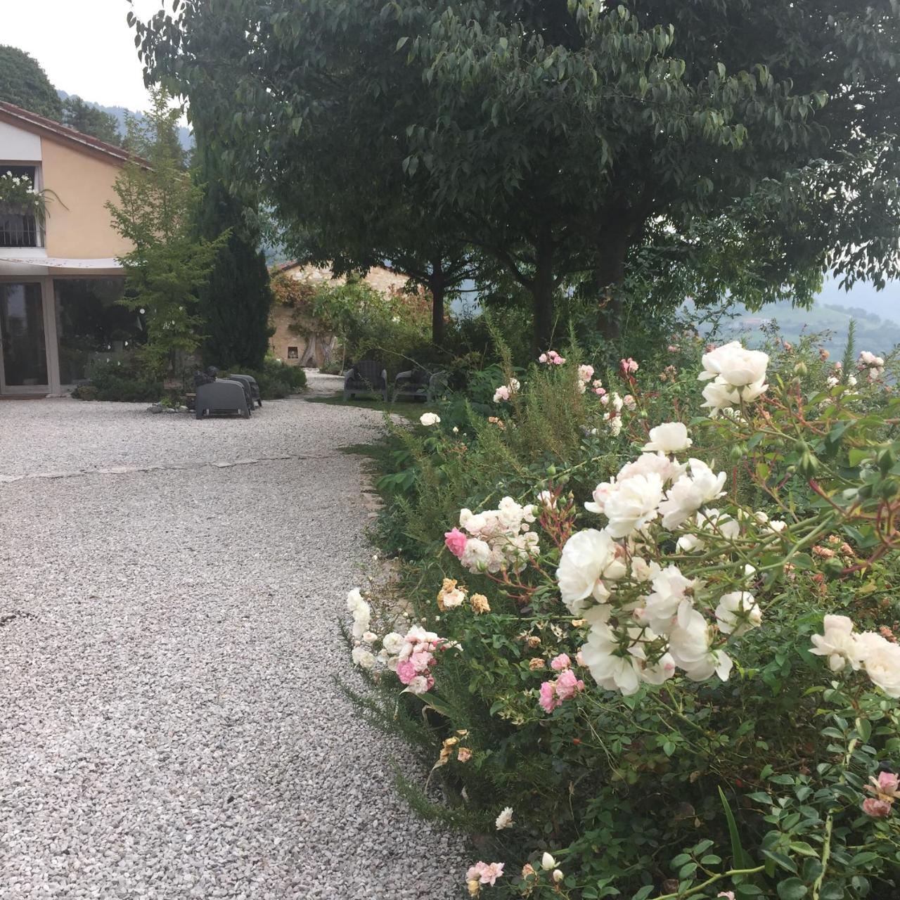 Villa Calvenere Extérieur photo